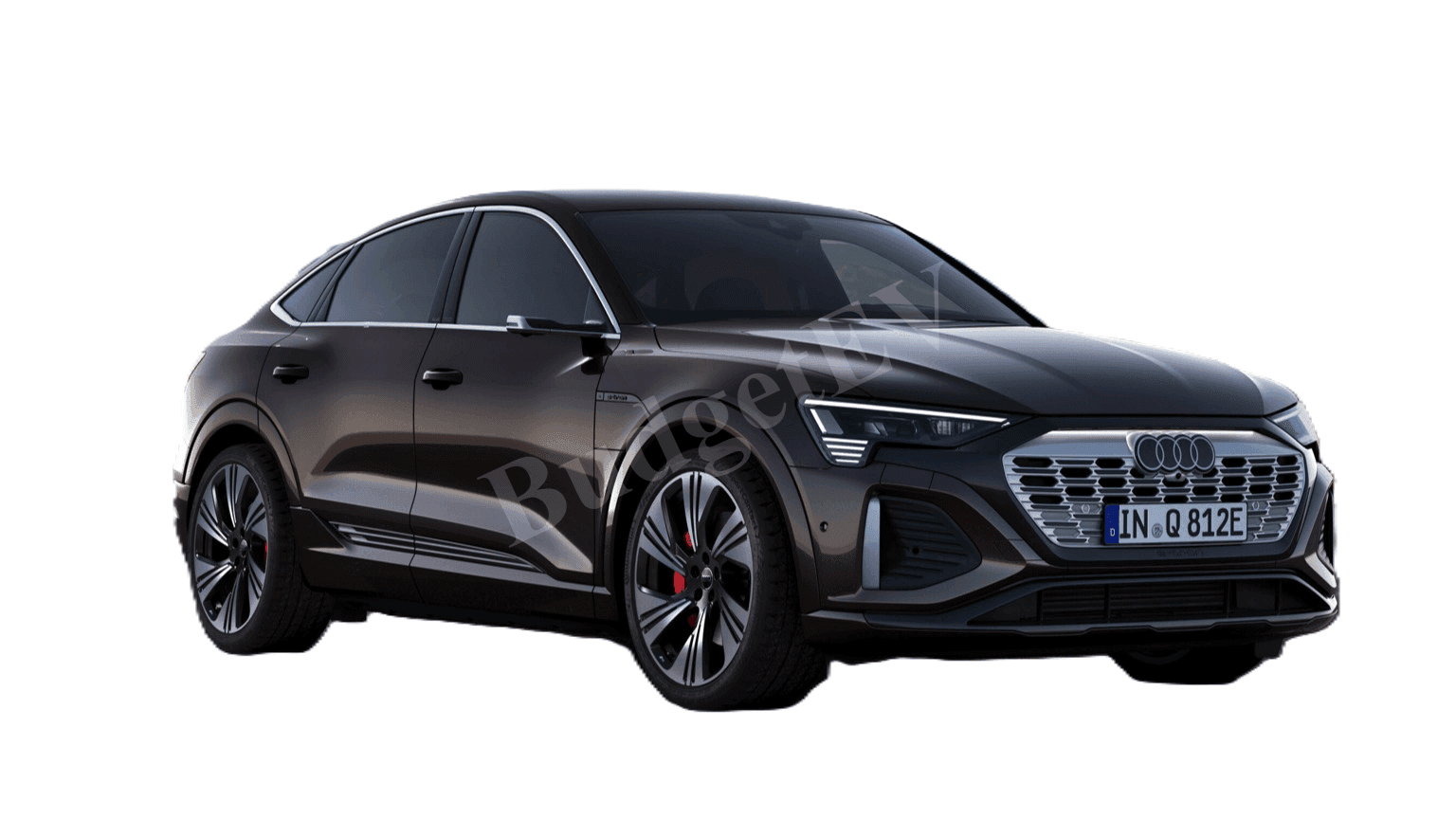 Q8 e-tron - View 1